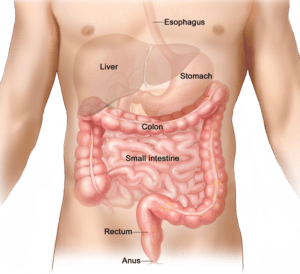 body detox colon cleanse