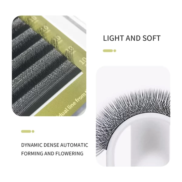 3D 4D 5D W Shaped Eyelash Extensions