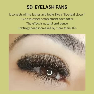 3D 4D 5D W Shaped Eyelash Extensions